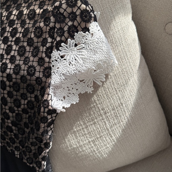 Stylish Black Lace Dress - Picture 7 of 13